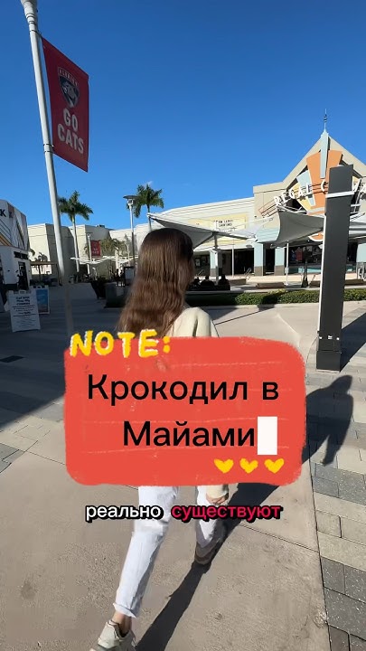Крокодилы в Майами - YouTube