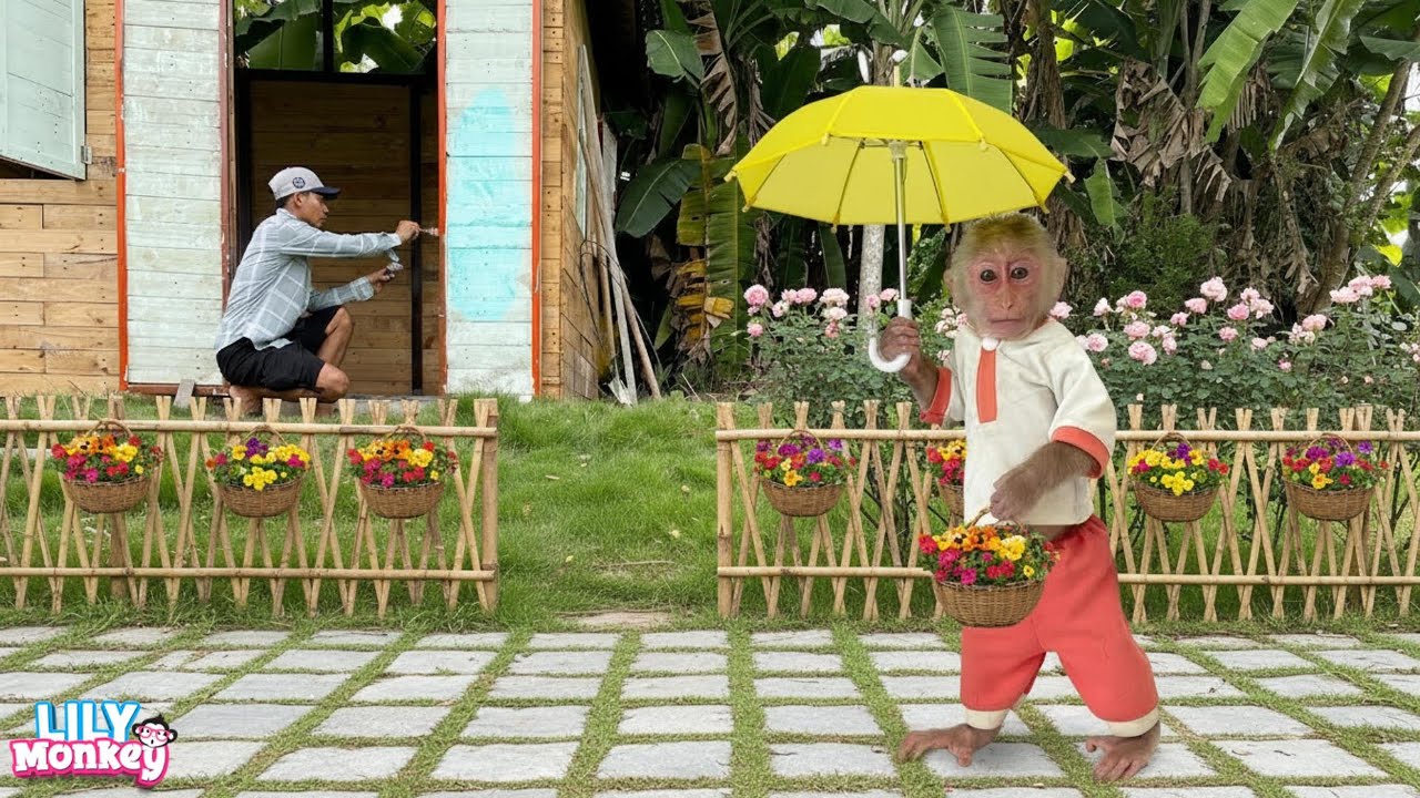 What did Lily do with dad in their new house this morning? | Lily's story