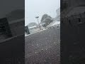 【悲報】横国生、雪を知らない