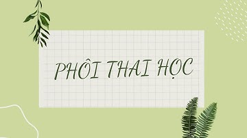 PHÔI THAI HỌC - BÀI 12: SỰ HÌNH THÀNH HỆ TIẾT NIỆU - 15/12/2021