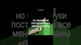 трек в тг wissawow #cupsize #madk1d #кишлак