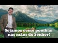 Sejamos como pombas nas mãos do Senhor! - Pe. Chrystian Shankar