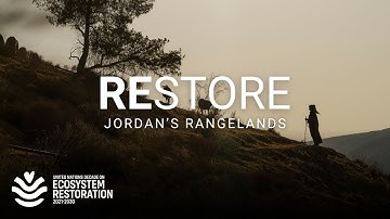 Letting Jordan’s rangelands bloom again – an unlikely restoration success story