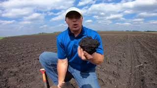 E.Z. Insights S2: Poor corn emergence- sidewall smearing or crusting?