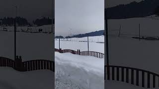 the kashmir paradise on earth  🌎❤ ⭐💫 #kashmir