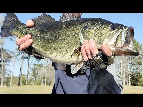 pond fishing for BIG bass (new pb)