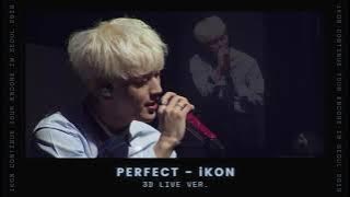 iKON - PERFECT (LIVE @CONTINUE TOUR ENCORE IN SEOUL 2019) [3D MUSIC - USE HEADPHONES]