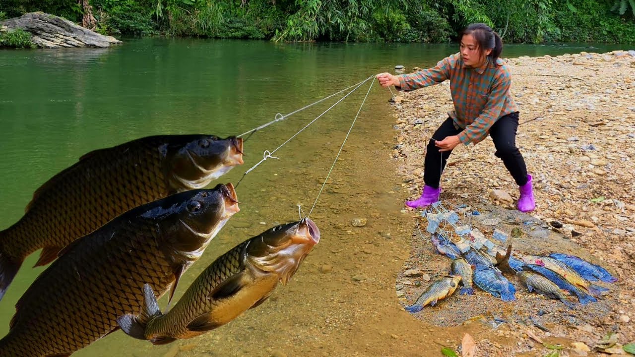 The traditional fishing technique of single girl Diep, catching a school of carp in a large stream.