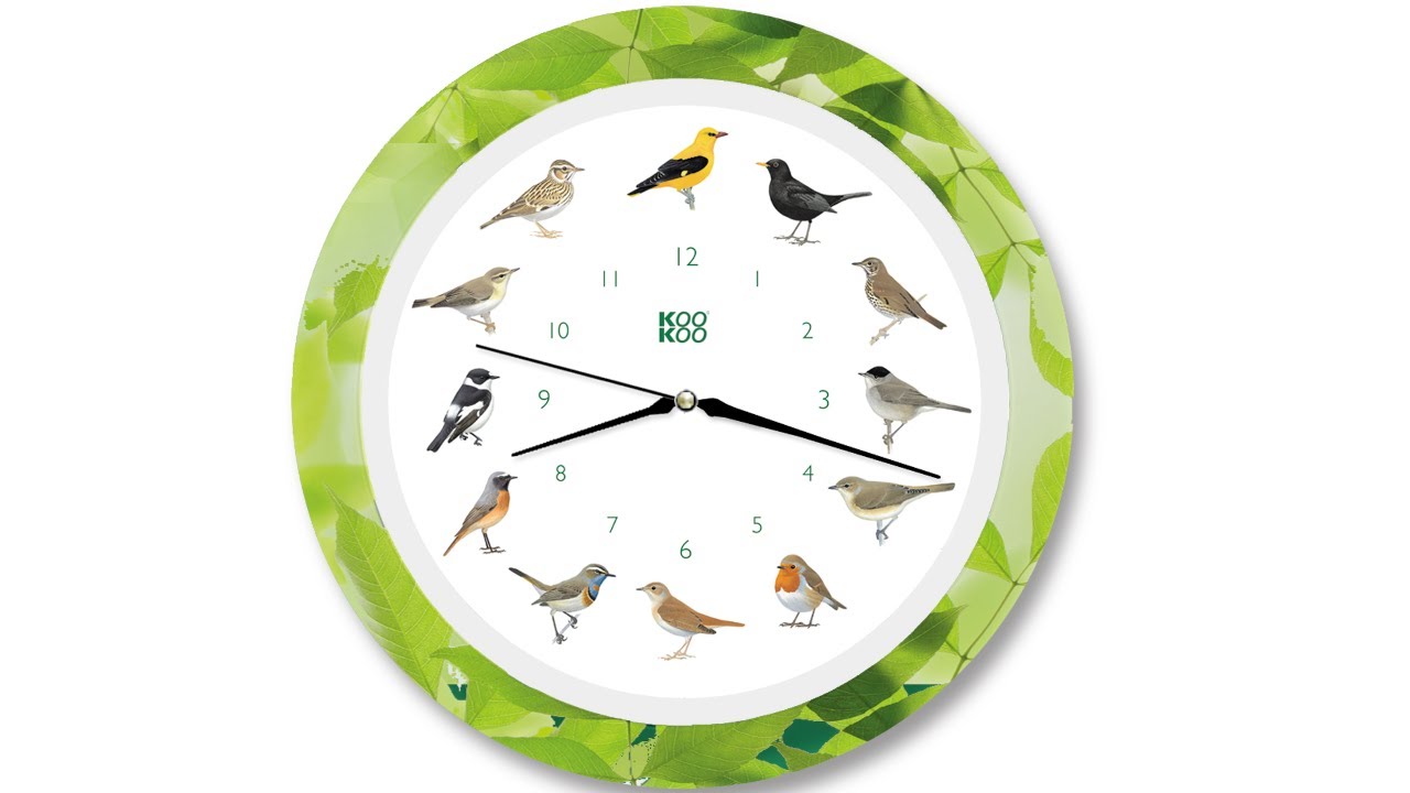 wall clock with light sensor the singing birdclock includes 12 genuine original field recordings from native songbirds or a cuckoo call KOOKOO Tree quartz