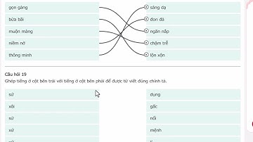 Trạng nguyên TV lớp 4 vòng 7 vấp trường