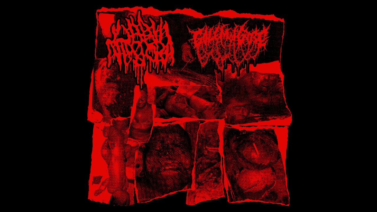 Golem of Gore split w/Labia Majora (2021) [Goregrind]