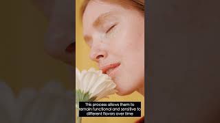 Your taste buds completely replace themselves every 10 to 14 days. You have about 10,000 of them and