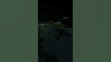 Deze server is bizar #dayz #dayzstandalone #dayzgameplay