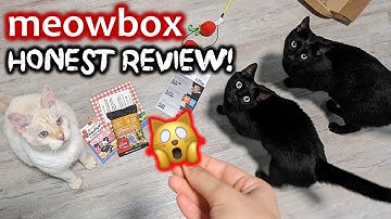 IS IT KITTY APPROVED? Honest review of Meowbox cat subscription box!