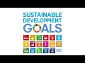 Gopa consulting group and sdgs