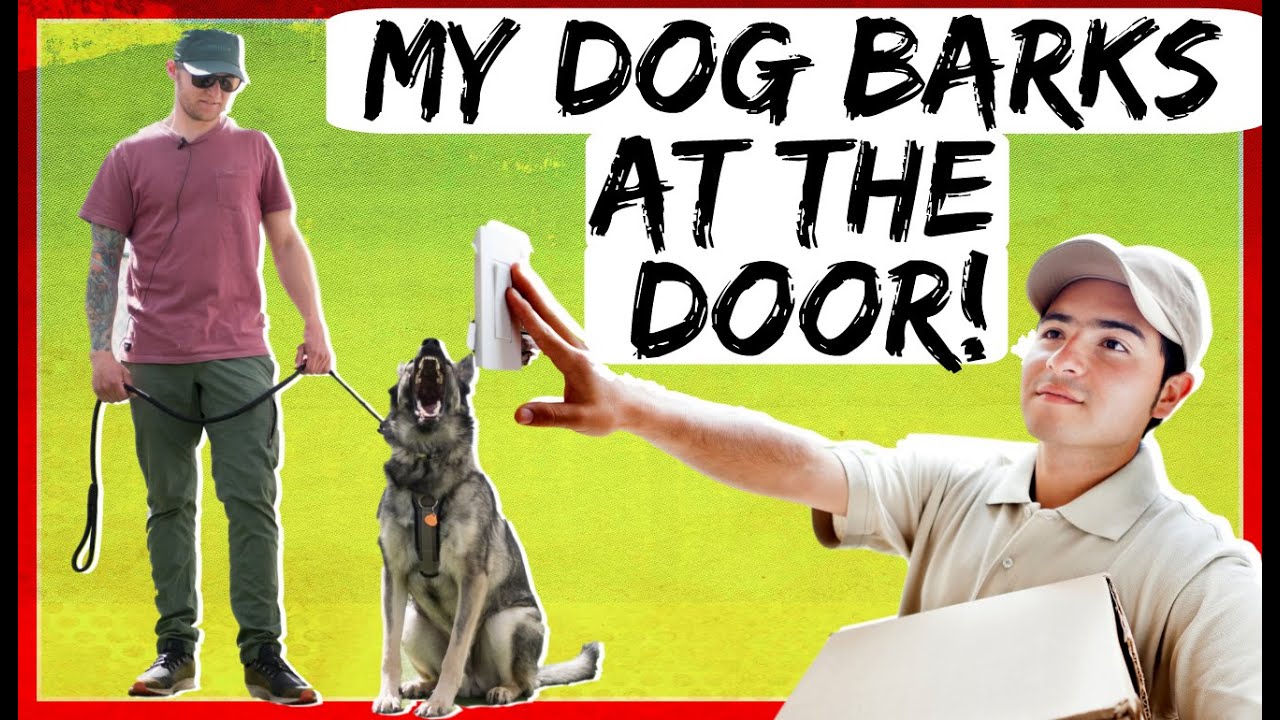 how to stop your dog barking at the door