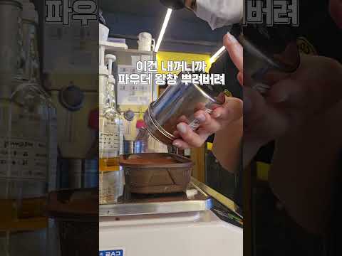 #컴포즈커피 #밤티라미수 #컴포즈밤티라미수#카페알바