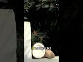 Earth Fights Back - Earth Waking Up Caught On Camera #Shorts
