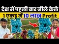 India    blue banana farming100rskg market  indian farmer