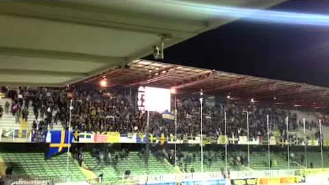 Cosa significa lo stemma del Verona?