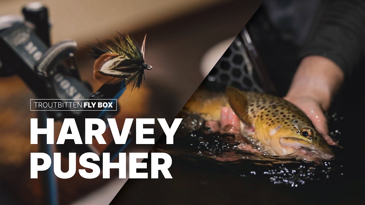 Troutbitten Fly Box The Harvey Pusher Night Fly YouTube