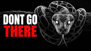 Why We Can't Actually Explore the Deep Congo Jungle Update