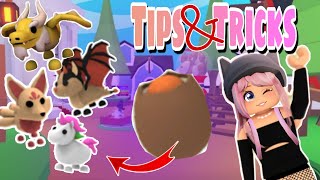 How to Hatch a *LEGENDARY* out of a Cracked Egg 🥚 Tips and Tricks Adopt Me #roblox #adoptme screenshot 4