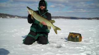 Tiger Muskie: The Come Back Bite