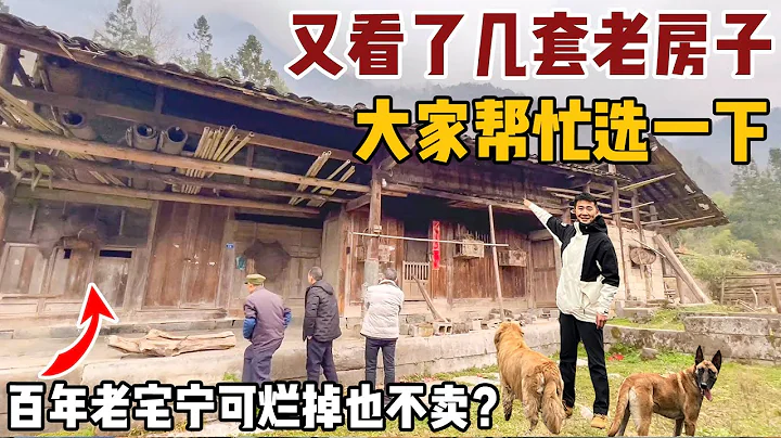 Why Would The Owner of A Century-old House Hidden in The Mountains Rot Rather Than Sell It? - 天天要闻