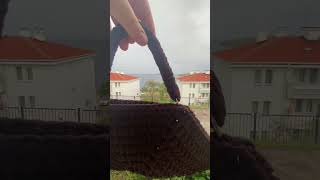 #crochet #örgüçanta #örgü #çantayapımı #çantamodelleri #örgümodelleri #penyeip #motifçanta #motif