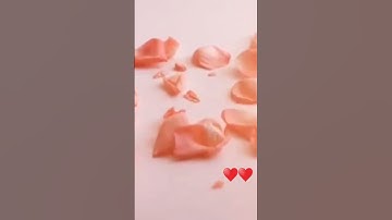 ( وَأَمَّا مَنْ خَافَ مَقَامَ رَبِّهِ وَنَهَى النَّفْسَ عَنِ الْهَوَى) .. سورة النازعات