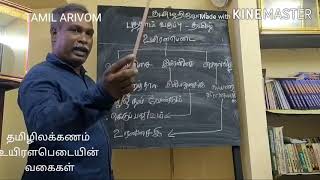 தமிழிலக்கணம் / உயிரளபெடை வகைகள் - Tamil Ilakkanam /uyiralabadai vagaigal