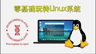 【生信进阶之路｜技能篇 01】零基础如何玩转 Linux 操作系统？