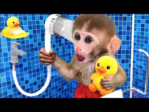 小猴子 BonBon 尋找最漂亮的水晶超跑！🐵🚗 – BonBon 台灣