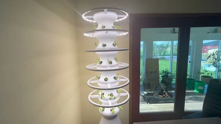 Setting up our Indoor Grow Tower | LETTUCE GROW Farm Stand
