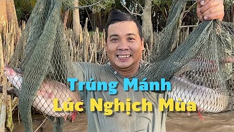 Săn Bắt Trái Mùa Bất Ngờ Trúng Mánh Về Làm Bữa Cơm Tối Ngon Hết Sảy | Cù Lao Dung Vlogs #787