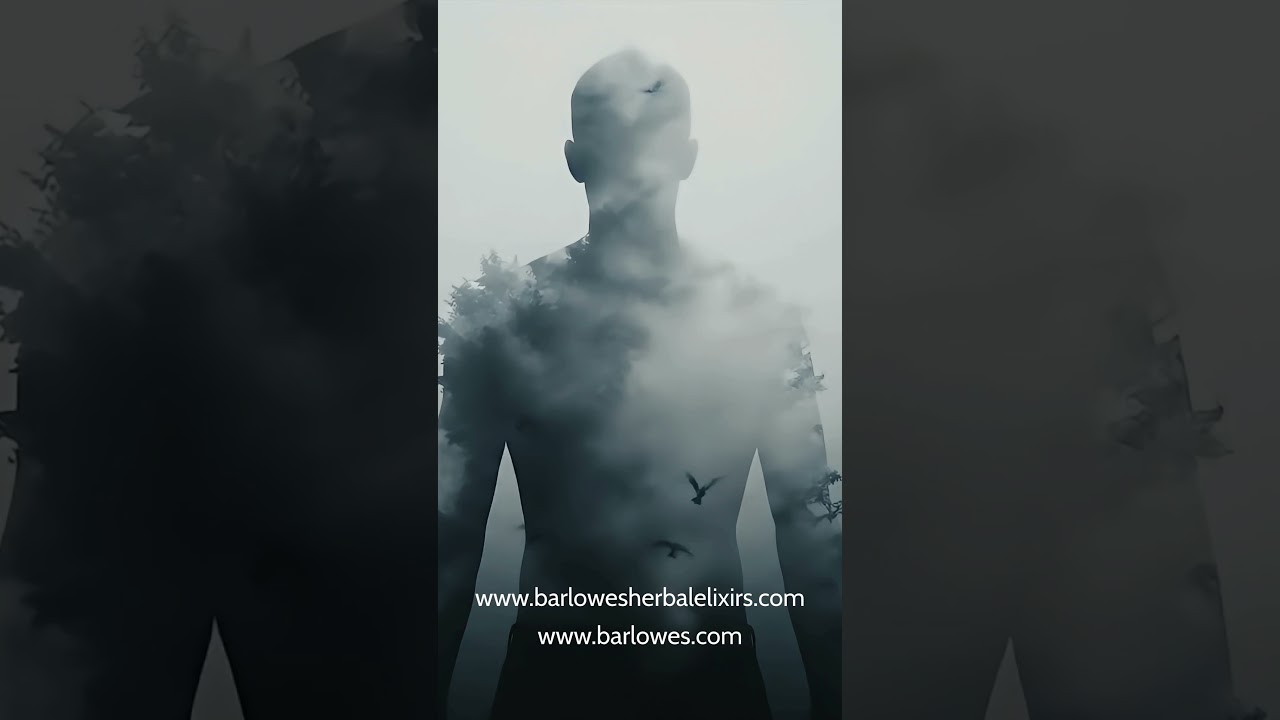 Barlowesherbalelixirs Rhodiola Rosea 