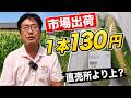 市場は安く買い叩かれる？トウモロコシ1本130円で分かった意外な現実（2026.7.1）