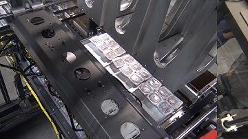 50240 BluePrint Automation Gantry 100 Case Packer