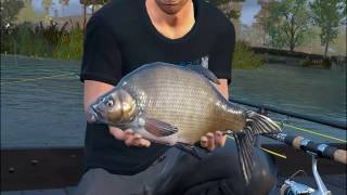 Bream Fishing In The Morning Rain screenshot 1