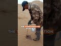 Desert to Green Oasis: China's Mission to Reforest Mongolia #virals #fypシviralシ2024 #fypシ