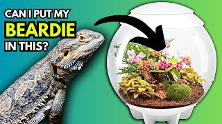 Is Selling Reptiles to Uneducated Buyers Worth It? | Exotics of The World TV