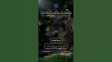 ﴿وَجَاءُوا أَبَاهُمْ عِشَاءً يَبْكُونَ﴾🍁قرآن كريم القارئ مشارى العفاسى سورة يوسف #قرآن #آيات #تلاوات
