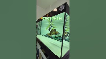 Hot hot! nhà lầu  mặt tiền nhựa shr 1,75 tỷ cuối hóc môn #bdshocmonmyhanh