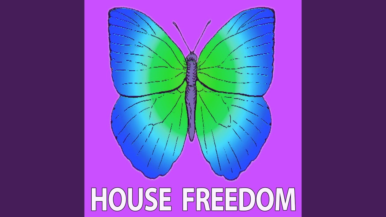 Classical (Dj Tools) adlı videoyu YouTube'da izle Classical (Dj Tools) adlı videoyu YouTube'da izle