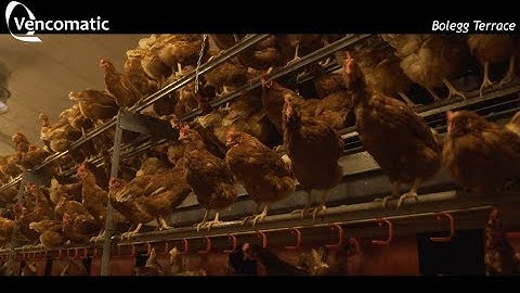 Vencomatic Group: Bolegg Terrace