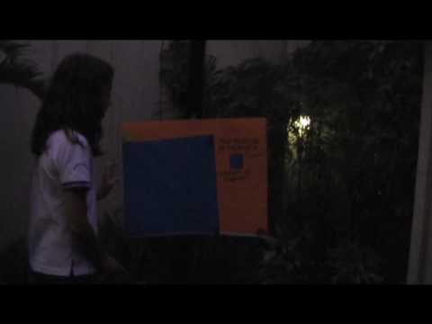 Polygons Rafa Nicole MaCris 6-4
