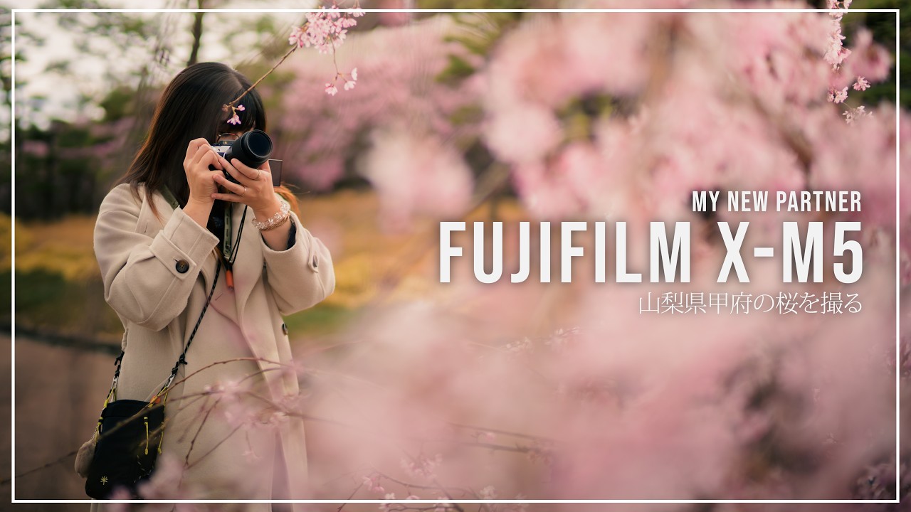 Travel log with XM-5] My first cherry blossom snapshots of the