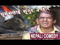 धुर्मुसलाई सुंगुर उपहार || Nepali Comedy Video || Sitaram Kattel (Dhurmus)