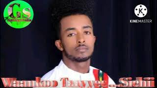 Waankoo Taayyee_Sichii_New Afaan Oromoo music 2022 .mp3